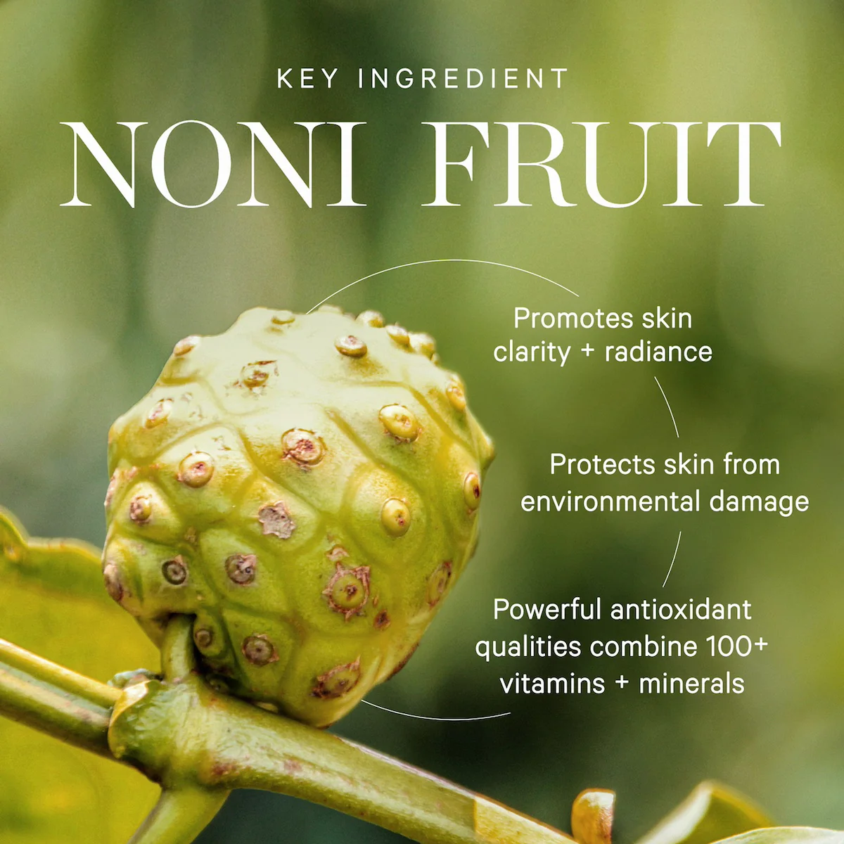 Noni Glow Face Oil - Image 5